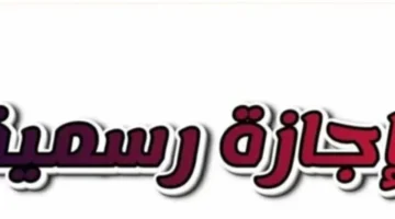 بانتظار العطلة الرسمية.. موعد إجازة ذكرى ثورة يناير وعيد الشرطة للقطاعين متاح حاليًا